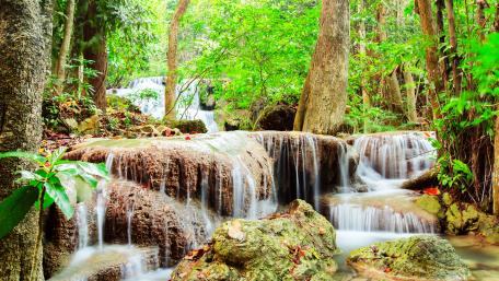 Serene Rainforest Waterfall Experience wallpaper