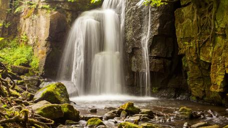 Serene Waterfall Amidst Lush Greens wallpaper