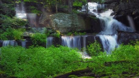 Sawkill Falls, Delaware State Forest wallpaper