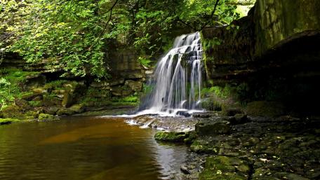 Serene Waterfall Cascading in Nature's Embrace wallpaper