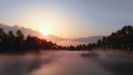 Misty Lake at Sunrise with Palm Trees wallpaper