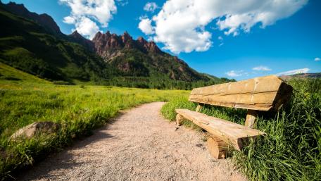Tranquil Nature Escape with Scenic Bench wallpaper