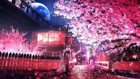 Cherry blossoms wallpaper