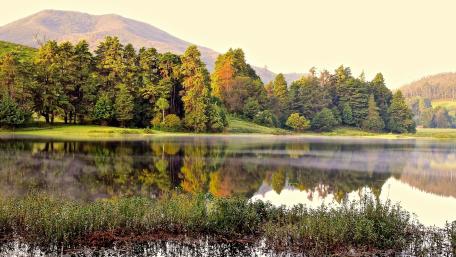 Tranquil Lake Reflections in Nature's Embrace wallpaper