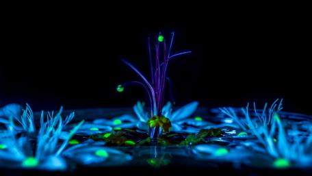 Neon plant wallpaper
