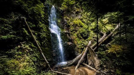 Berry Creek Falls wallpaper