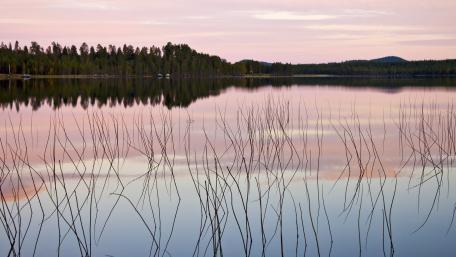 Serene Reflection on Tranquil Lake Surface wallpaper
