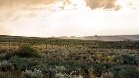 Serene Sunset Over Expansive Landscape wallpaper