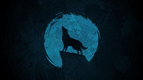 Lunar Howl Wolf's Night wallpaper