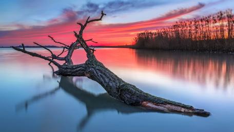 Tranquil Sunset Reflections Over a Serene Lake wallpaper