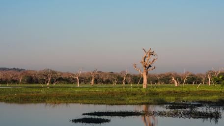 Serene Reflections of a Tranquil Landscape wallpaper