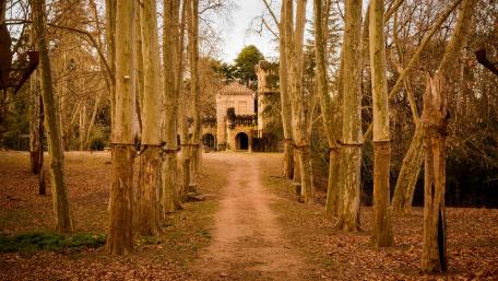Mystical Castle in Enchanted Forest wallpaper