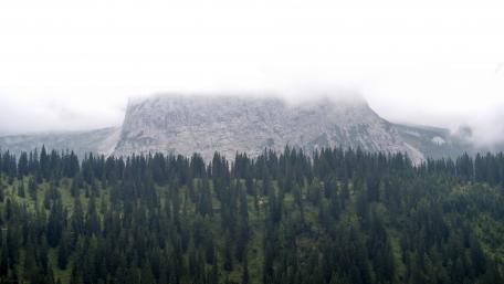 Mystical Fog Embraces Forested Mountains wallpaper