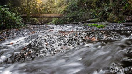 Serene Footbridge Over a Tranquil River wallpaper