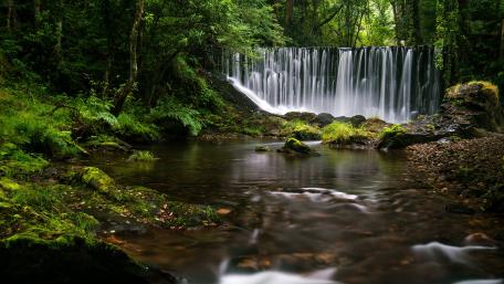 Serene Waterfall Among Lush Greenery wallpaper