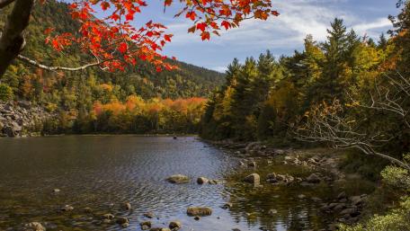 Autumn Serenity by the Lake wallpaper
