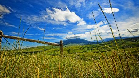 Serene Meadow Under a Vast Sky wallpaper