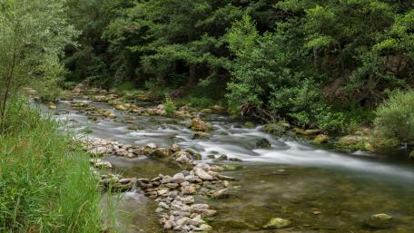 Serene Stream Flowing Through Lush Greenery wallpaper