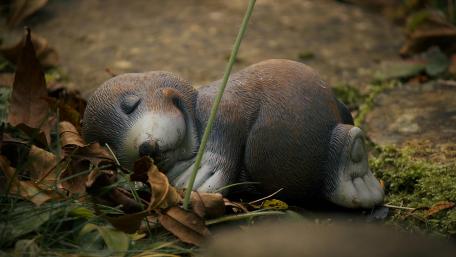 Garden ornament mole wallpaper