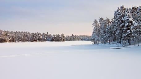 Winter Wonderland Serenity wallpaper