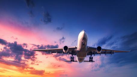 Soaring Through the Pink Skies wallpaper