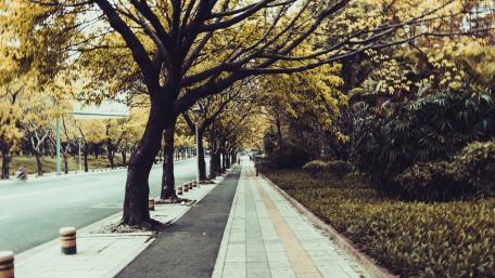 Endless sidewalk wallpaper