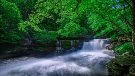 Tranquil Forest Waterfall Scene wallpaper