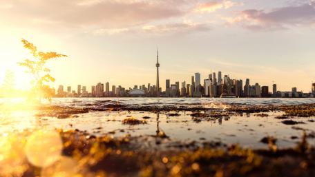 Toronto wallpaper