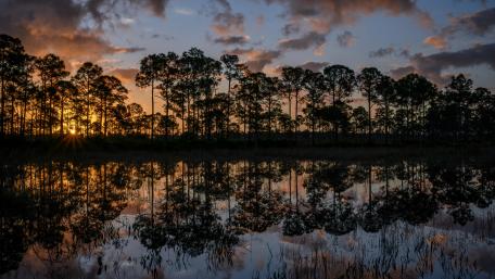 Fred C. Babcock/Cecil M. Webb Wildlife Management Area wallpaper