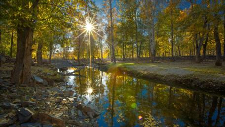 Early fall sunbeam reflection wallpaper