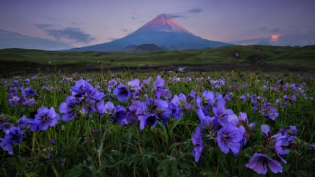 Mt. Fuji from Ubuyagasaki wallpaper