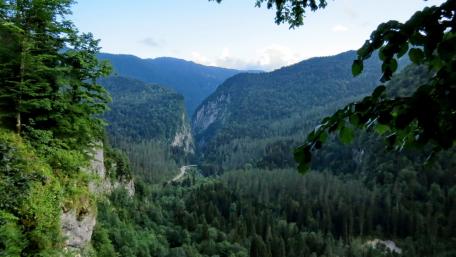Majestic Green Mountains Under a Clear Sky wallpaper