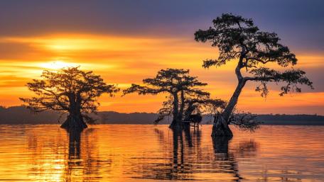 Golden Hour Serenity with Reflective Trees wallpaper