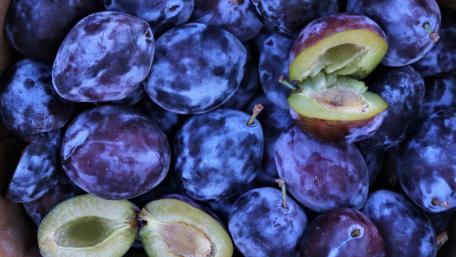Juicy Plums for a Fresh Look wallpaper