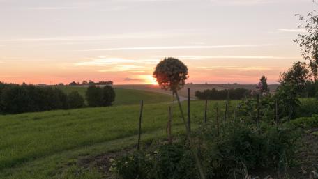Serene Sunset Over Rolling Hills wallpaper