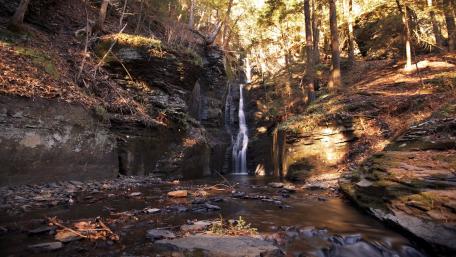 Serene Waterfall Amidst Lush Forest wallpaper