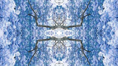 Kaleidoscope effect blue tree wallpaper