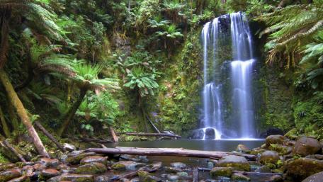 Majestic Waterfall in Lush Greenery wallpaper
