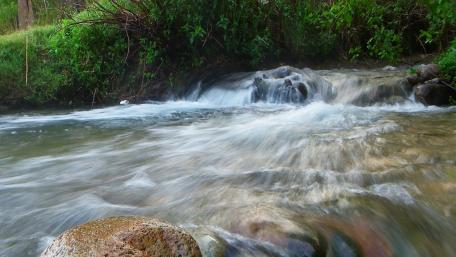 Serenity of the Flowing Stream wallpaper