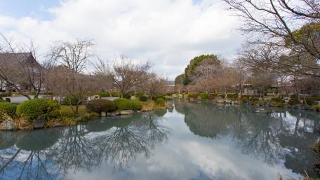 Serenity in a Tranquil Japanese Garden wallpaper