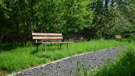 Serene Park Bench Surrounded by Nature wallpaper