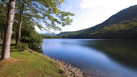 Tranquil Lake Surrounded by Lush Greenery wallpaper