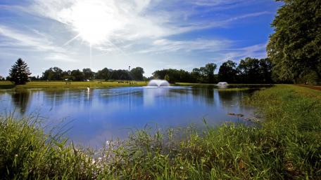 Serene Reflections by the Pond wallpaper
