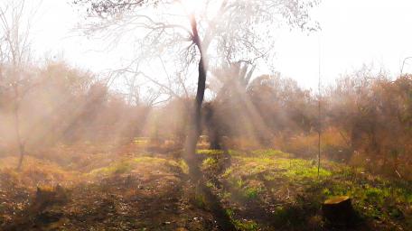 Mix of sun and smoke in natural make that's ! wallpaper