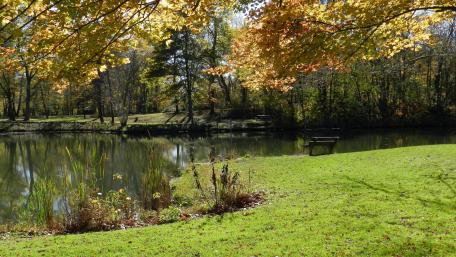 Tranquil Autumn Serenity in Nature wallpaper