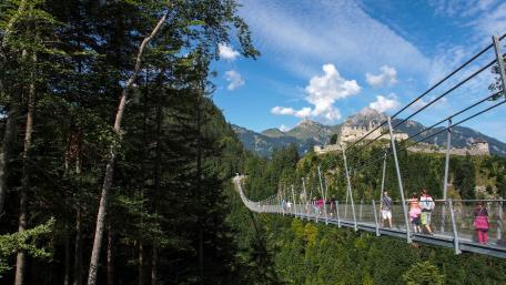 Canopy walkway wallpaper