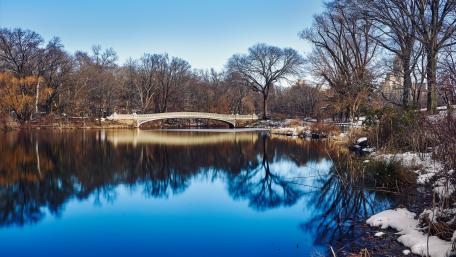 Winter Serenity at the Park Waterside wallpaper