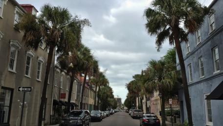 Charming City Street with Palm Trees and Overcast Sky wallpaper