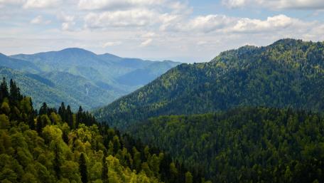 Serene Mountain Landscape for Nature Lovers wallpaper