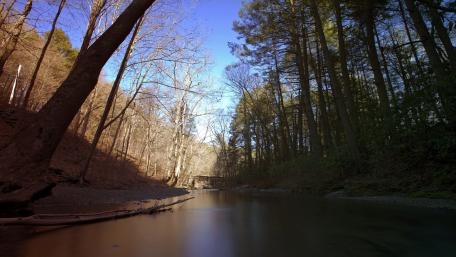 Tranquil Forest Stream Under Clear Blue Sky wallpaper
